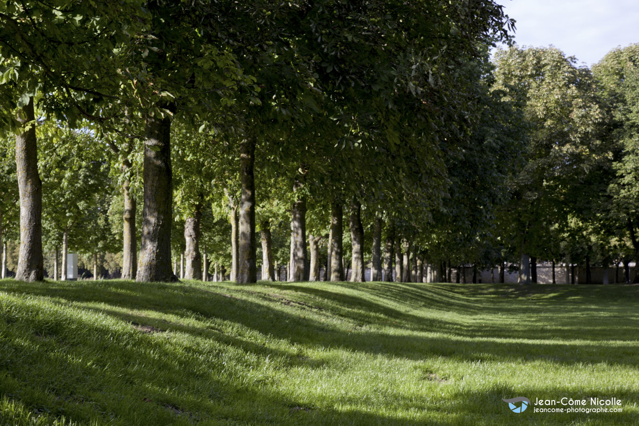 Reportage corporate sur le patrimoine de Châlons en Champagne pour l'Office de Tourisme