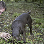 réalisations récentes en commandes photo de VisuL360