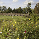 réalisations récentes en commandes photo de VisuL360